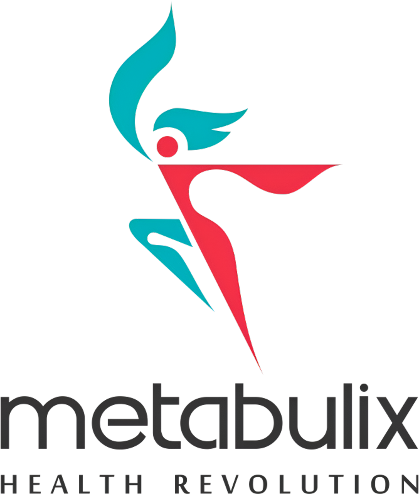 Metabulix Logo